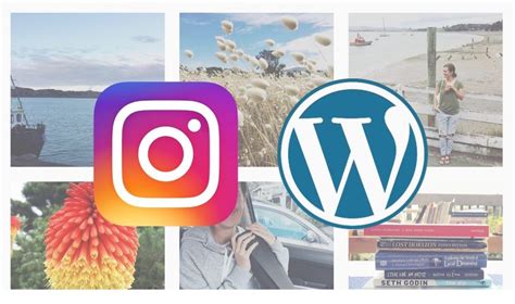 Top 5 Free Instagram Widget and Plugins in 2021 | All Perfect Stories