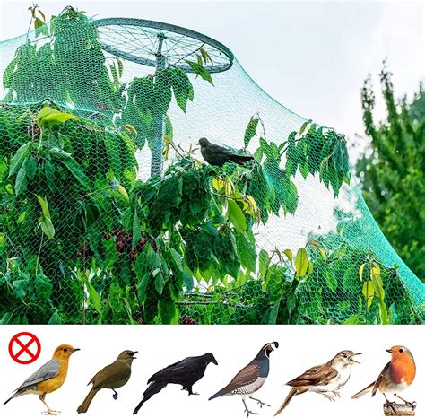 Aspect Bird Netting for Garden, Pack of 6 – 10 X 2M Ft Garden Netting ...