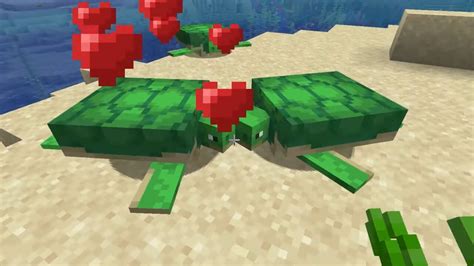 How To Breed Turtles in Minecraft | The Nerd Stash