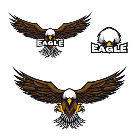 Premium Vector | Eagle vector illustration for logo