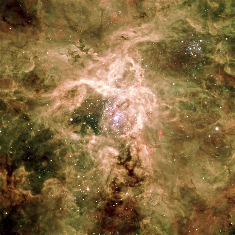 File:Tarantula Nebula.jpg - Wikipedia, the free encyclopedia