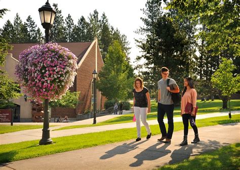 Whitworth University implements compost tea program | Whitworth ...