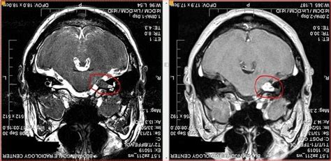 7 best radiology images on Pinterest | Auckland, Radiology and Assessment