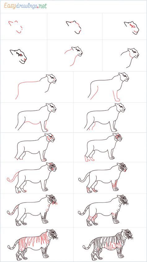 How To Draw A Tiger Easy Step By Step - It's very easy art tutorial how ...