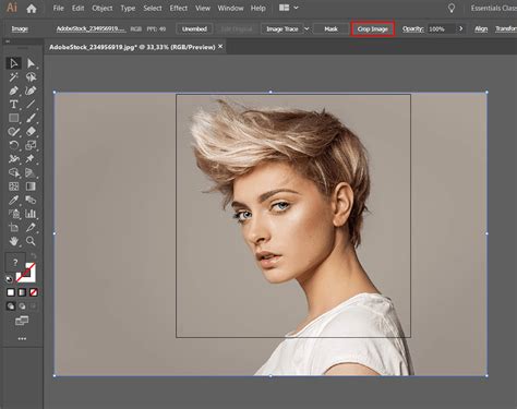 How to Crop in Illustrator: 3 Simple Methods for Amateurs