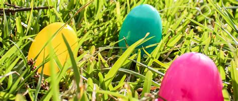 The Yogi Bear™ Easter Egg Hunt | Yogi Bear’s Jellystone Park™: Lakes ...