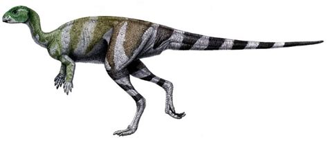 Othnielia Pictures & Facts - The Dinosaur Database