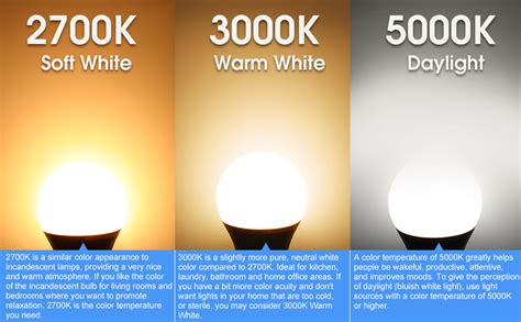 24-Pack A19 LED Light Bulb, 60 Watt Equivalent, Daylight 5000K, E26 Medium Base, Non-Dimmable ...