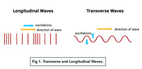 Transverse vs Longitudinal Waves (GCSE Physics) - Study Mind