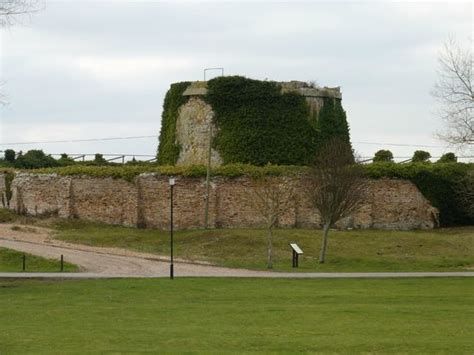 Rye Harbour Nature Reserve - 2018 All You Need to Know Before You Go (with Photos) - TripAdvisor