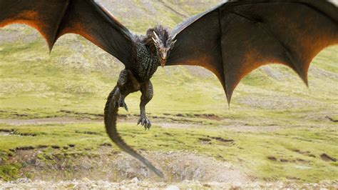 The Game of Thrones Dragons Are Based on Chickens | TIME