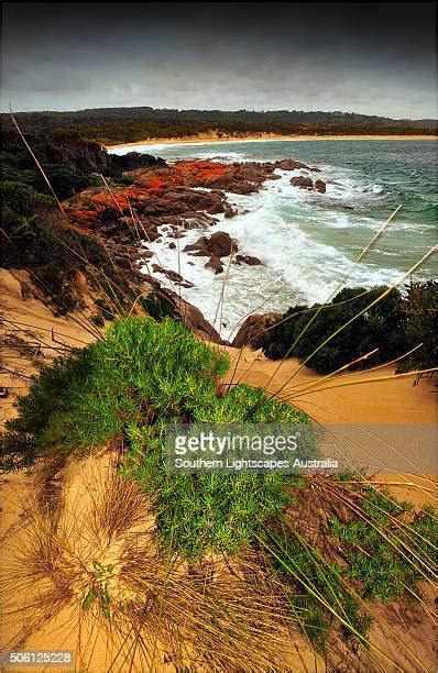 1,526 Bass Strait Islands Stock Photos, High-Res Pictures, and Images - Getty Images