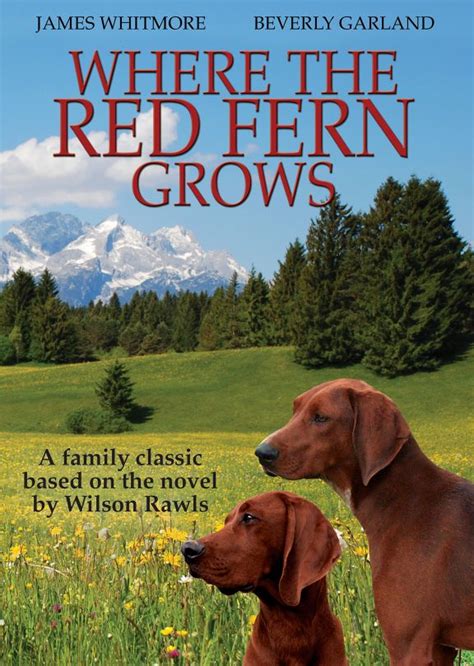 Where the Red Fern Grows DVD | Vision Video | Christian Videos, Movies, and DVDs