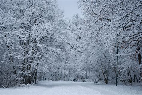 Snowy Park