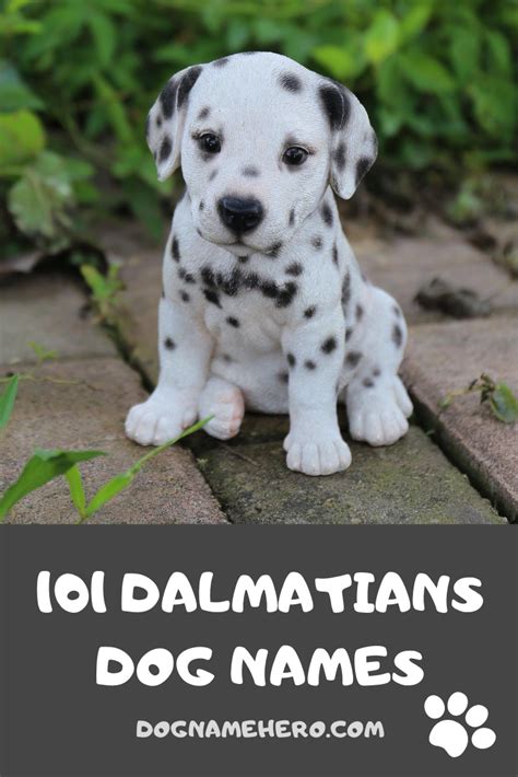 101 Dalmatians Dog Names - All 101 Puppies Names - Dog Name Hero