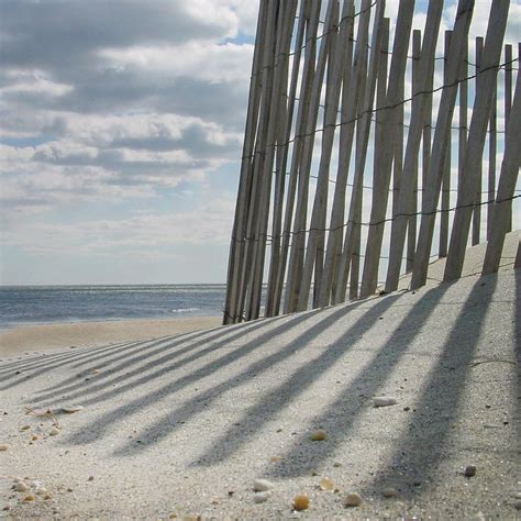 Sand Fence Photograph by Mark Otten - Fine Art America