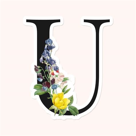 U Letter Floral Images | Free Photos, PNG Stickers, Wallpapers ...