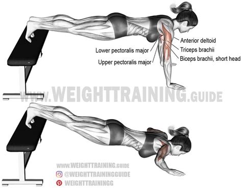 Decline push-up exercise instructions and video | Weight Training Guide ...