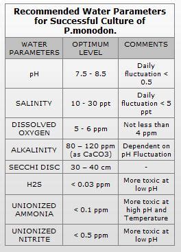 Water Quality Parameters | Shrimp Care Aquaculture Products Supplier And Distributors In Malaysia