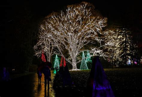 Newfields Winterlights 2019: How to get tickets and what to know