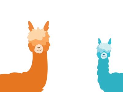 alpaca day by DARIA HILL on Dribbble