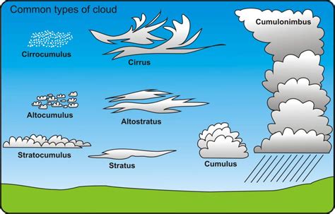 Gallery For > Cloud Formation Types | Earth science homeschool, Clouds, Earth science