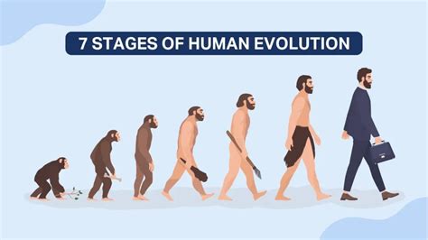 The 7 Stages Of Human Evolution | JBM Smart Start