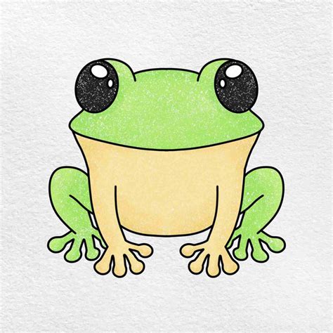 How to Draw a Baby Frog - HelloArtsy