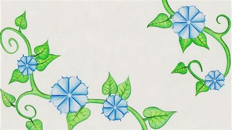 Flower drawing (Morning Glory) Time Lapse! - YouTube