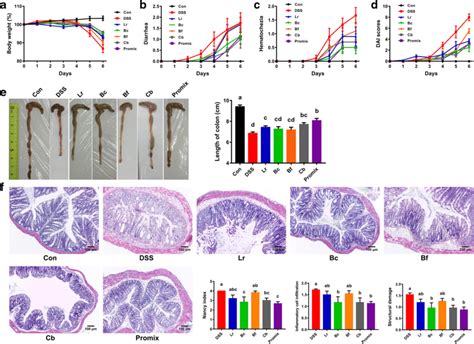 Effects of single probiotics and the probiotics in combination on ...