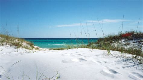 🔥 [90+] Florida Beach Desktop Wallpapers | WallpaperSafari