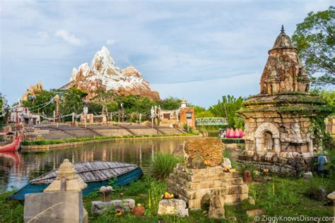 Best Animal Kingdom Rides & Attractions Guide | Full List & Must-Do