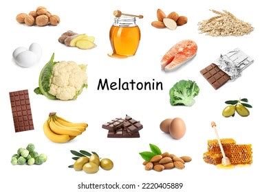 Different Foods Rich Melatonin That Can Stock Photo 2220405889 ...