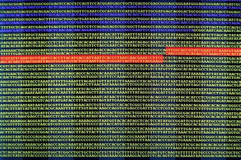 Human genome sequencing is starting to live up to the hype | New Scientist