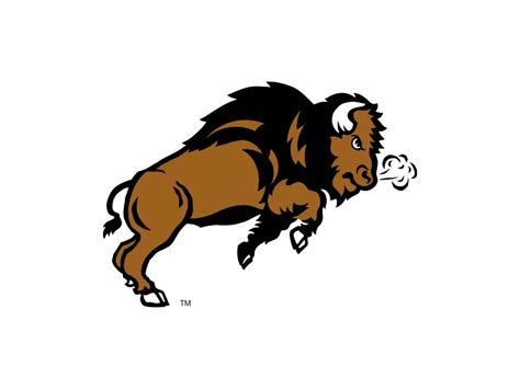 NDSU Bison Logo PNG vector in SVG, PDF, AI, CDR format