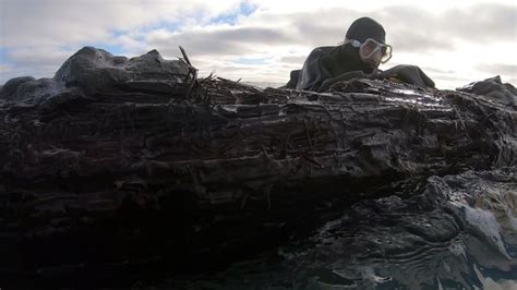 Canada shipwreck: Newfoundland locals try to solve Cape Ray mystery ...