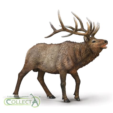 CollectA North American Wapiti – Animal Kingdoms Toy Store