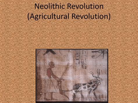 Neolithic Revolution (Agricultural Revolution)