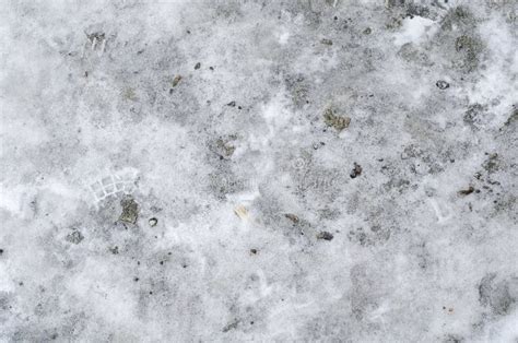 Focused Texture of White Fallen Snow Floor Stock Photo - Image of ...