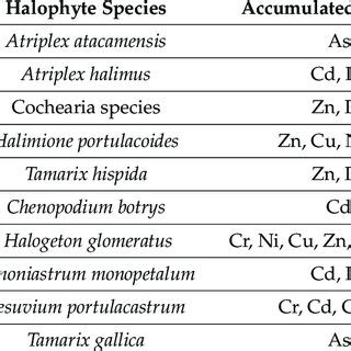 Examples of the usefulness of halophytes in particular phytoremediation ...