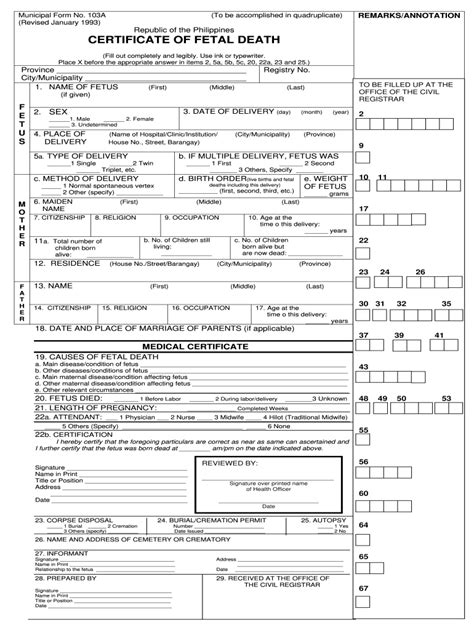 Death Certificate Philippines Sample - Fill Online, Printable, Fillable, Blank | pdfFiller