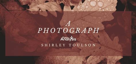 A Photograph by Shirley Toulson - Poem Analysis