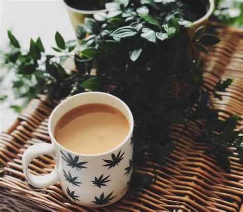 All About Cannabis Tea: What is it? What are the benefits? And how do ...