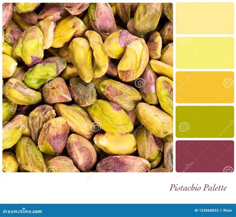 Pistachio Palette stock image. Image of collection, colorful - 123668833