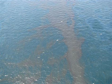 Deepwater Horizon oil spill | Summary, Effects, Cause, Clean Up ...