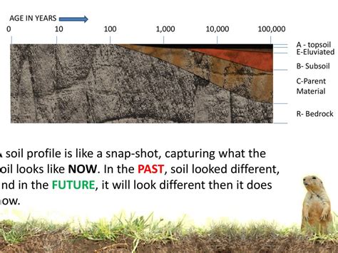 How do soils form? Processes 5.1 Introduction to soil systems - ppt download