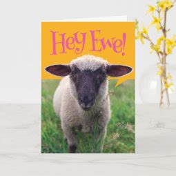 Cute Sheep Saying Hey Ewe! Happy Birthday Card | Zazzle