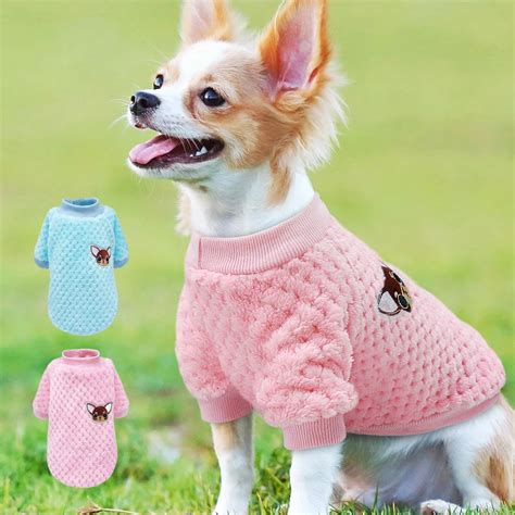 Top 97+ Pictures Pictures Of Dog Clothes Excellent