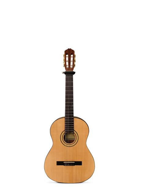 acoustic guitar isolated PNG transparent 26798152 PNG