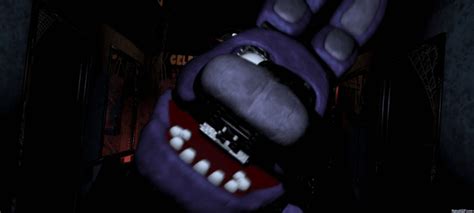 Bonnie | Five Nights At Freddy's Amino